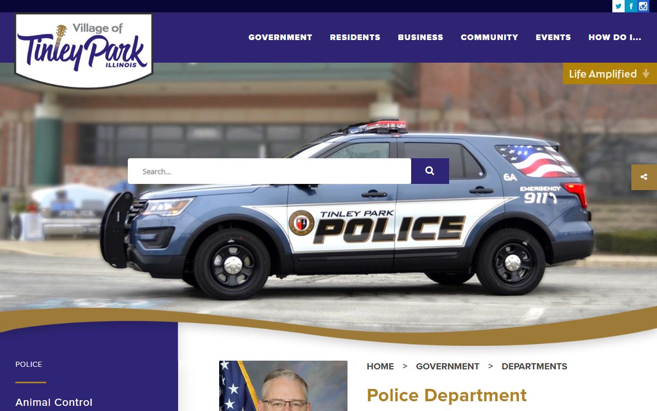 Tinley Park Police Department main page for arrest records information